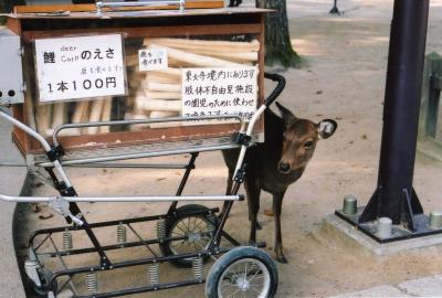 奈良女二人旅