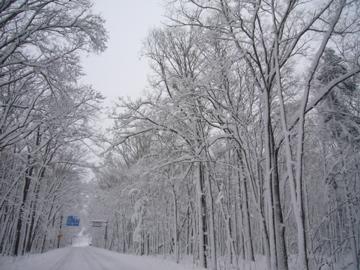 釧網本線の旅（川湯・屈斜路湖・摩周・茅沼）