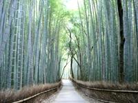 青春18切符in京都