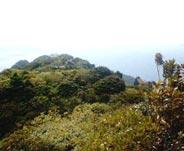 ノコギリ山登山