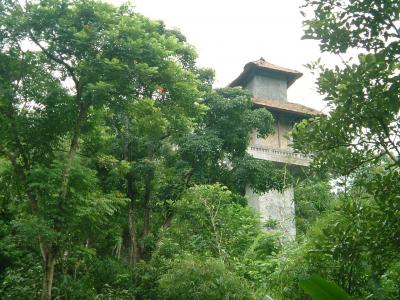 Bali in Ubud