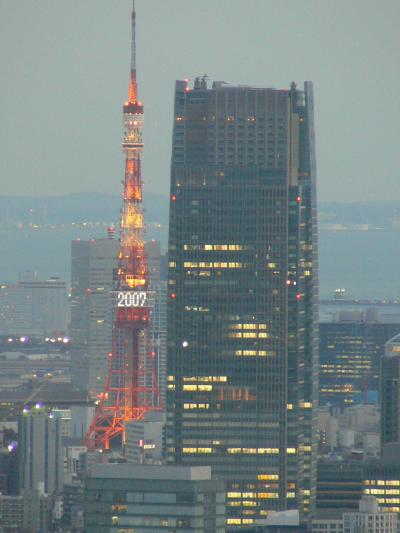 この展望、この夜景が無料で見られるなんてすごいよ東京都庁展望台（ラグビー三昧＆東京夜景の２日旅?）