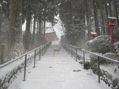 冬の京都　～雪の比叡山～
