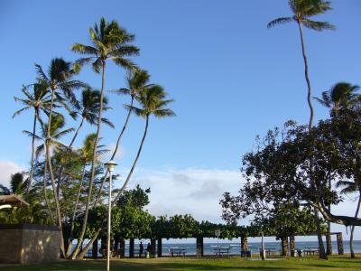 ハワイに行ってきました。