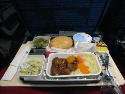 オーロラツアー 2006/2007 第7日 (ヘルシンキ～成田)