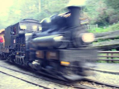 阿里山　鉄道編