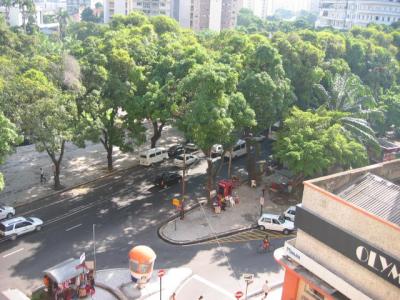 ブラジル（ベレン編）