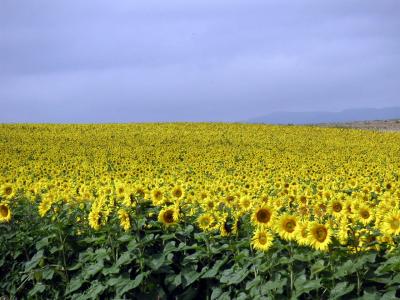 北海道ツーリング&#39;03（智恵文編：03-08-14）