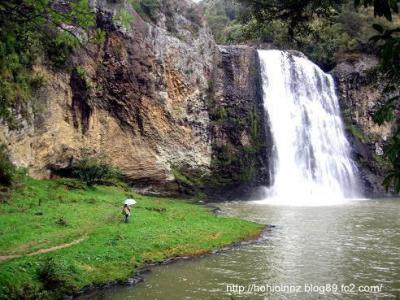 フヌアの滝(The Hunua Ranges Regional Park)