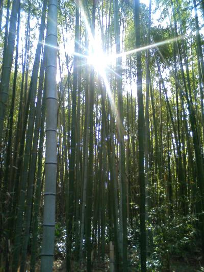 京都初詣じゃない初詣