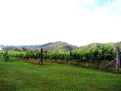 ワイナリーホテル・デュ・バン(Hotel du Vin)