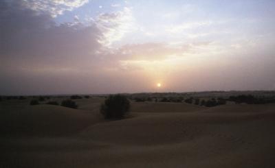 ドバイ旅行記　2　～砂漠のマラドーナ～【アルマハ編Part1】