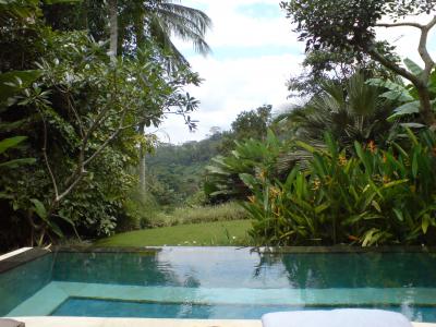 Tropical Heaven_Bali Island (Company trip )