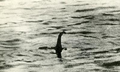 ネス湖のネッシーの思い出！！　写真で発表