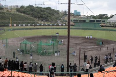 2007年プロ野球春季キャンプレポート