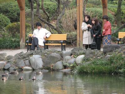 今年初めての日比谷公園訪問