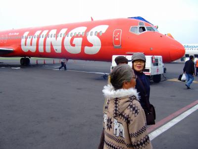 格安の航空社　インドネシア