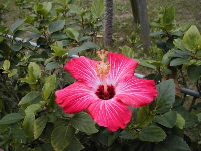 沖縄旅行～気分転換本州脱出！～（１）