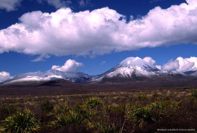 Tongariro National Park