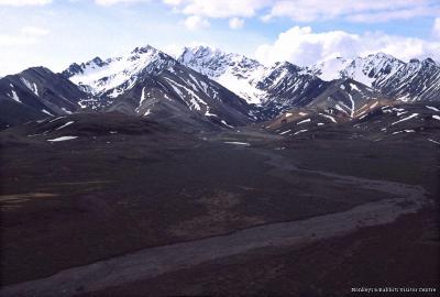 Denali National Park &amp; Preserve