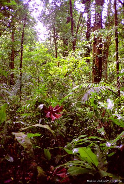 Parque Nacional Rincon de la Vieja