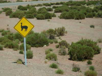 【南米4週間】あっさり出国ラキアカ