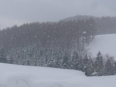 雪の日の美瑛での過ごし方