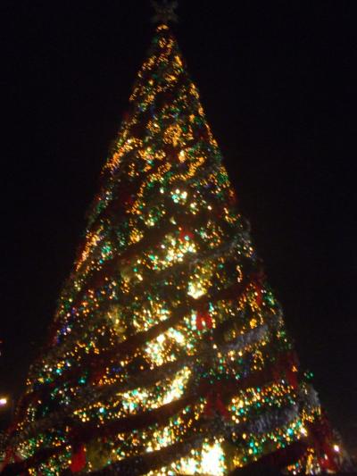 東欧縦断?　ラトビア