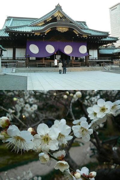 初めて参詣した靖国神社と２度目の武道館。（２００７年早くも３度目の東京　日帰り旅行?）