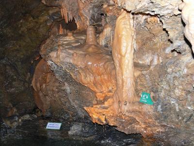 竜ヶ岩洞−鍾乳洞