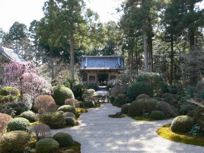 井伊家菩提寺　龍潭寺