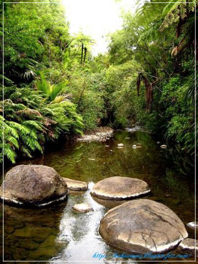 オークランド・シティ・ウォーク(Auckland City Walk)