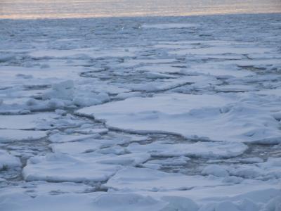 流氷一人旅~その1