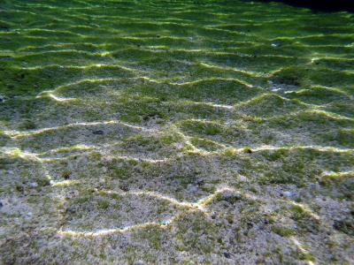 2007年初ダイブ☆