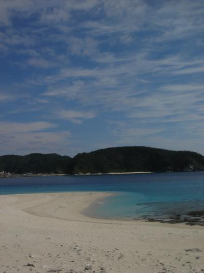 週末で行く、座間味「美ら海づくりツアー」！