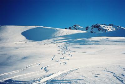 ニュージーランド　スキーツアー