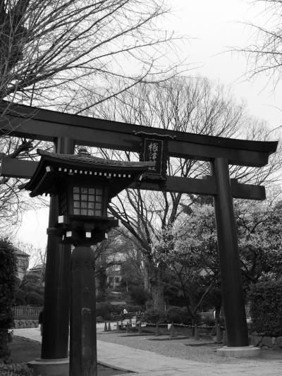 下町を歩く2「谷根千(谷中・根津・千駄木)編」パート1~根津神社~