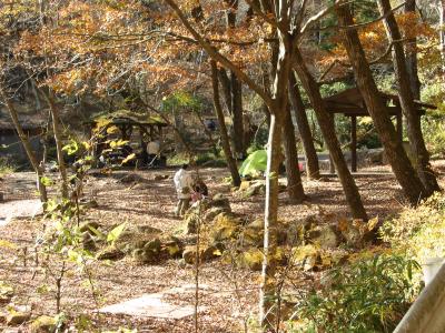 秋の茨城、格安キャンプ