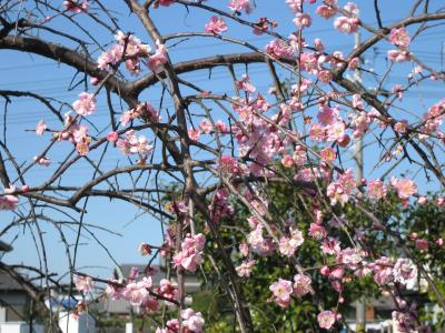 ☆離宮院公園☆