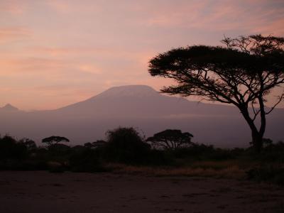 ケニア８泊１１日の旅☆アンボセリ