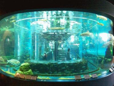 5.エクシブ山中湖　朝のお庭　山梨県立富士湧水の里水族館