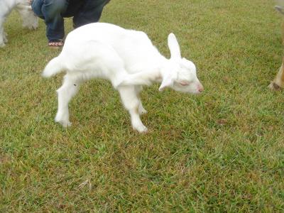 阿蘇・高森の月廻り公園