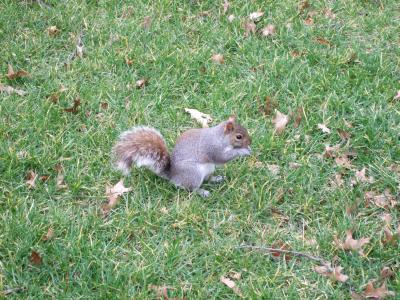 ２回目のニューヨーク