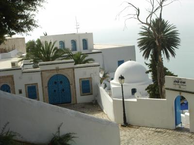 チュニジアン･ドアの街　チュニジア旅行記２１（シディ･ブ･サイド篇）