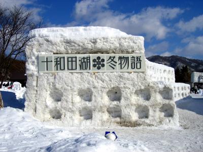 十和田湖冬物語2007
