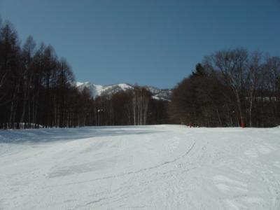 スキー＠富良野