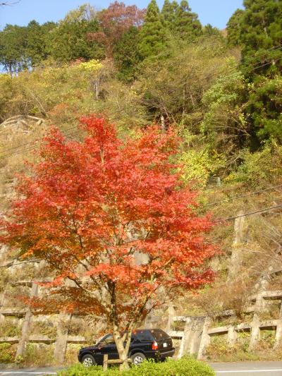 紅葉を見に帝釈峡