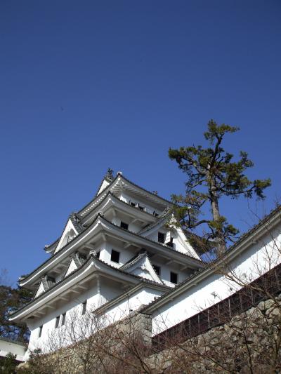 お城と、名水の街。郡上八幡へ・・。