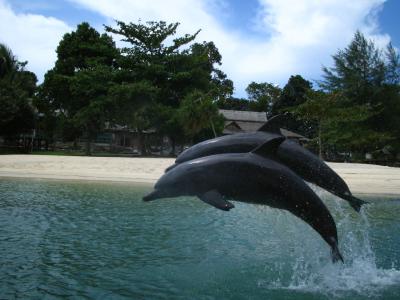 シンガポール食い倒れ2006・夏　バタム島(インドネシア)