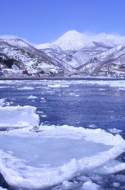 暖かい!?厳冬期の道東−四日目は感動の流氷体験